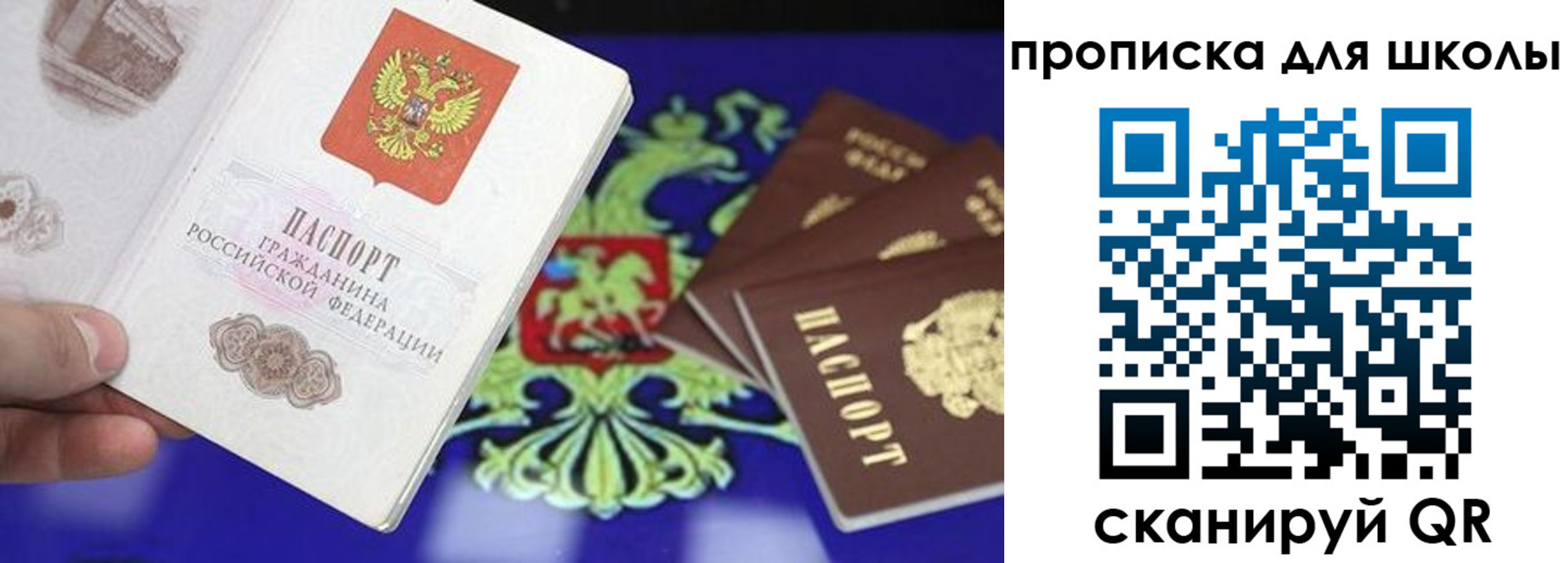 прописка в квартире в Балтийске